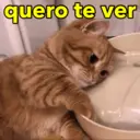 quero te ver