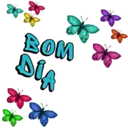 BOM DIA