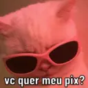 FIGURINHAS DO MOMENTO  9