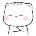 Cute kitten 9