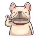 Frenchie animasi 2 9