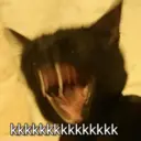MEMES PROCURADOS 7