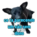 Roceiro 3