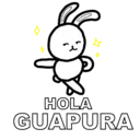 HOLA GUAPURA