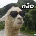 RESPOSTAS PRO ZAP 6