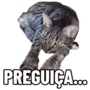 Gatitos da Mamaju 1
