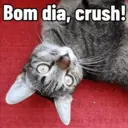 Gatitos da Mamaju 4