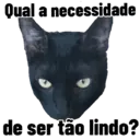 Gatitos da Mamaju 5