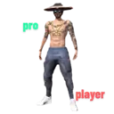 pro player