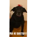 Kiara e Nina 1