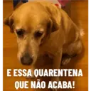 Kiara e Nina 2