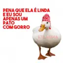 Figurinha