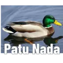 Figurinha