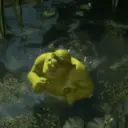 Sherk Reacciones 7