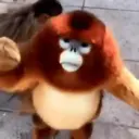 Memes que tienes que tener 11 6