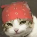 MEMES PROCURADOS 2