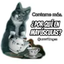 Contame más. ¿POR QUÉ EN MAYÚSCULAS? @uxwritinges