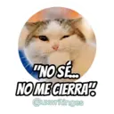 "NOSE.. NOME CIERRA Quxwritinges