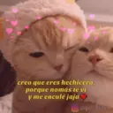 Soft 🎀🌷 3