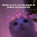 Soft 🎀🌷 4