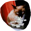 Tá todo mundo na merda mesmo 7