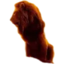 Ninini 1