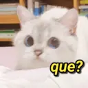 MEMES ALEATÓRIOS😅 5