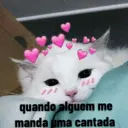 Amigos 3