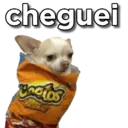 MEMES PRA TODA HORA 9