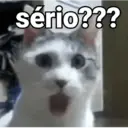 REA&Ccedil;&Otilde;ES COM GATINHOS ? 5