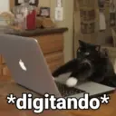 REA&Ccedil;&Otilde;ES COM GATINHOS ? 6