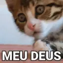 REA&Ccedil;&Otilde;ES COM GATINHOS ? 7