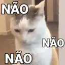 REA&Ccedil;&Otilde;ES COM GATINHOS ? 8