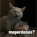 Gatetos 1 5