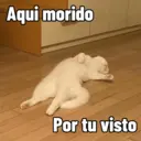 Gatetos 1 9