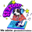 StickerAdoption  1