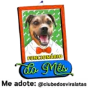 StickerAdoption  2