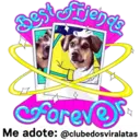 StickerAdoption  6