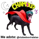 StickerAdoption  7