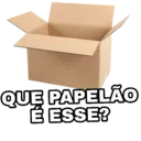 QUE PAPELÃO É ESSE?