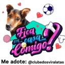 StickerAdoption  8