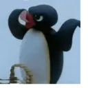 Pingu memes sem palavrãos 5