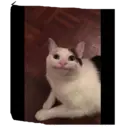 Não entra 2