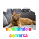 eu olhando a corversa