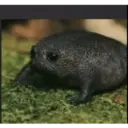 Lubatv 3