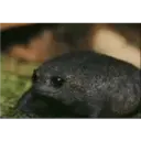 Lubatv 4