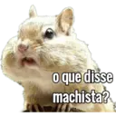 MEMES COM ANIMAIS FOFOS 1
