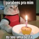 MEMES COM ANIMAIS FOFOS 5
