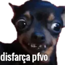 MEMES COM ANIMAIS FOFOS 6