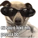 MEMES COM ANIMAIS FOFOS 7